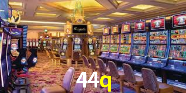 Premium Interface 44q